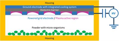 Surface Micro Discharge–Cold Atmospheric Pressure Plasma Processing of Common House Cricket Acheta domesticus Powder: Antimicrobial Potential and Lipid-Quality Preservation